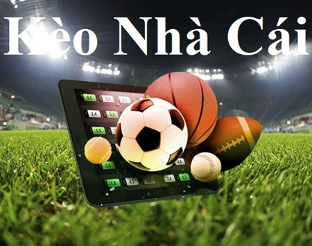 tỷ số bóng đá ngoại hạng pháp 11bet