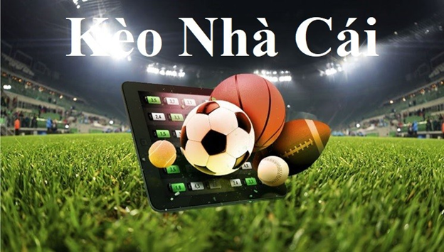 tỷ số bóng đá ngoại hạng pháp 11bet